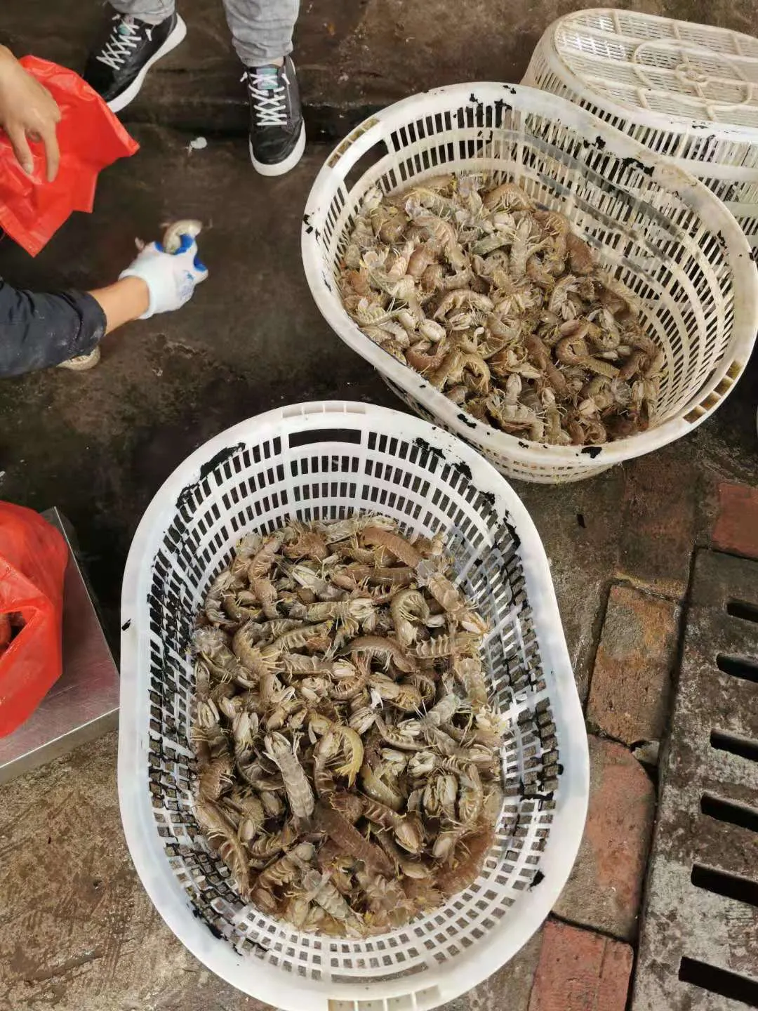 中牌機械湛江游(圖9)